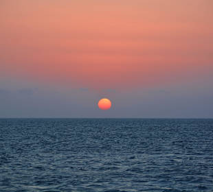 Delphinsafari mit Mo