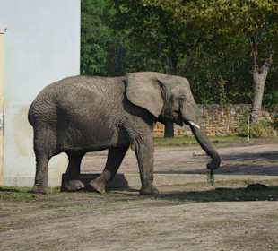Zoo
