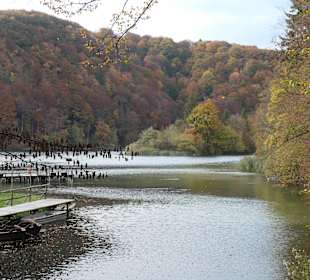 Im Nationalparks Plitvicka Jezera (Plitvicer Seen)