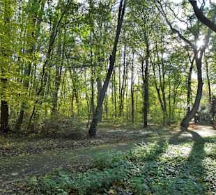 Spaziergang durch den Kurpark Wilhelmshaven