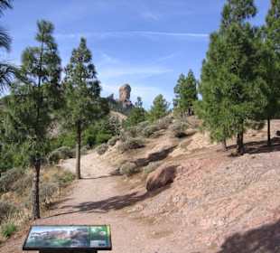 Der Roque Nublo