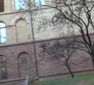 Stadtgarten Stuttgart