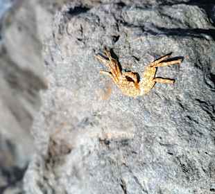 Wandern Playa de Esquinzo