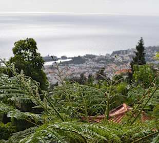 Ausblick vom Monte Palace