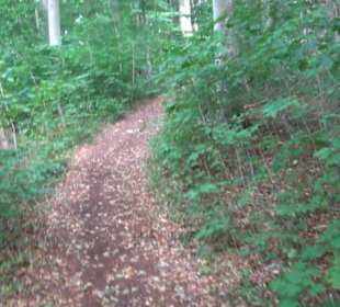 Tour entlang der Traifelbergfelsen