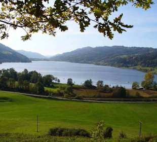 Der große Alpsee bei Immenstadt