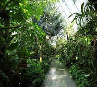 Im Tropenhaus von Schloss Trauttmansdorff