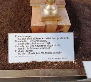 Sprüche zu den Blumen