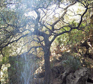 Hinter dem Wasserfall