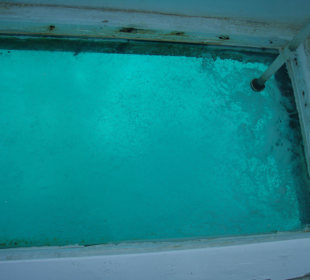 Unser Glasboden im Boot