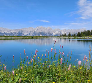 Wandern Ellmau am Wilden Kaiser