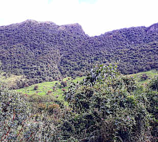 Rundweg „La Isla“ Path