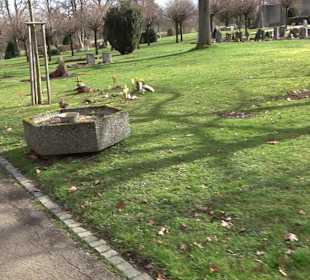 Friedhof Frickenhausen