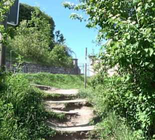 Früchtetrauf - Wurmlinger Kapellenwegle