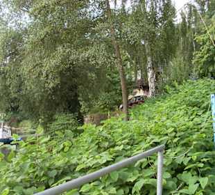 Muldentalschifffahrt