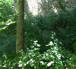 Burg Hölnstein Stetten u. Holstein