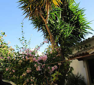  Kloster Paleokastritsa