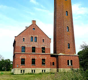 Apollo Tagestour zur Greifswalder Oie 