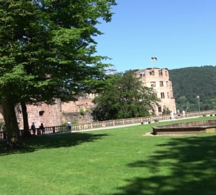Schloss Heidelberg