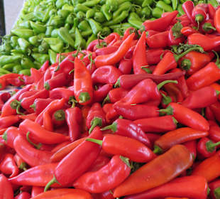 Spitzpaprika in Hülle + Fülle