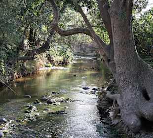 Wandern Castellet
