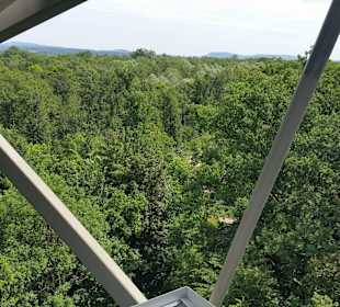 Ausblick auf die Murauen