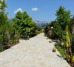 Der Hauptweg im EKO-Park