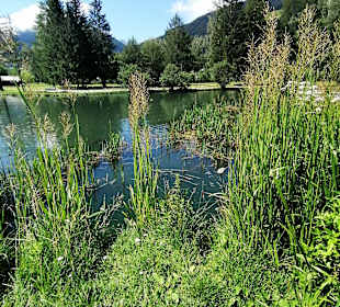 Wandern Bad Hofgastein