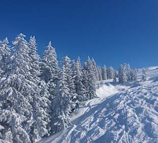 Wandern Ellmau am Wilden Kaiser	