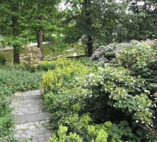 Alter Botanischer Garten