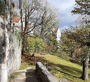 Wandern Füssen
