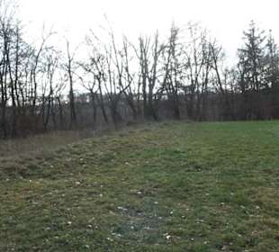 Burg Hofen Grabenstetten