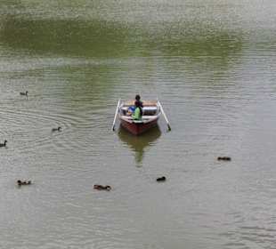 Hier kann man gut rudern