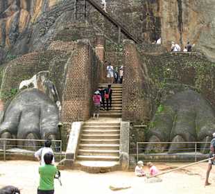 Löwenpfoten vorm letzten Aufstieg