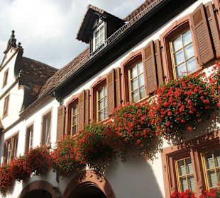 Weingut Altes Schlösschen L. Schneider