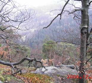 Trasa wiodąca do wodospadu