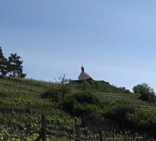 Weinlehrpfad