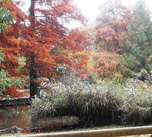 Parco Sempione