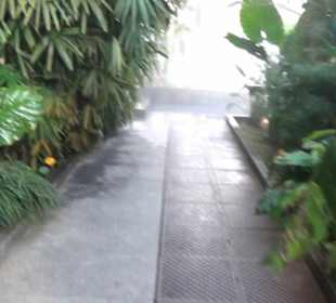 Real Jardín Botánico de Madrid