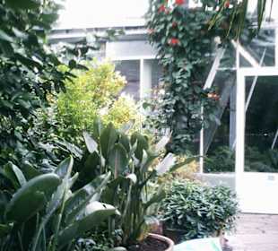 Kalthaus