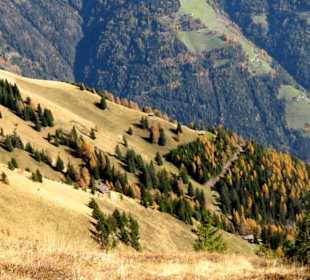 Spätsommer an den Hängen