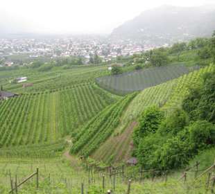 Marlinger Waalweg