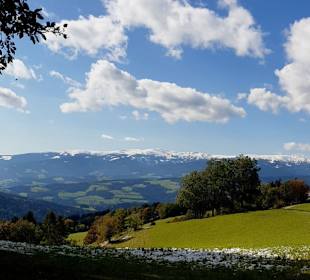 Rundblick ins Lavanttal