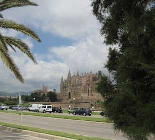 Fahrradweg von El Arenal bis Palma