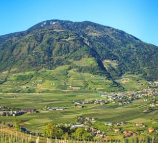 Panorama