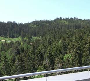 Naturparkzentrum Ruhestein