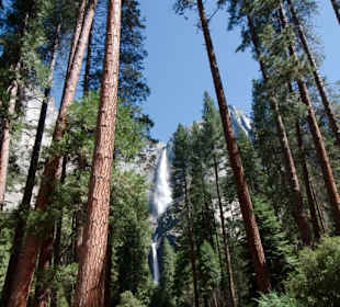 Yosemite Falls