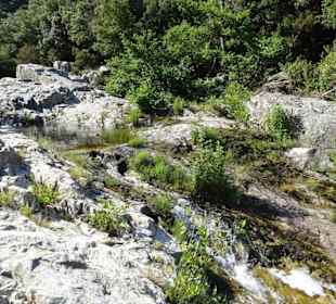 Impressionen von einer Wanderung an der Massane