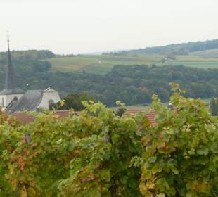 Wipfeld: Blick über die Weinberge zur Kirche