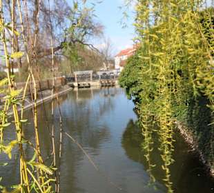 Idylle im Schlospark